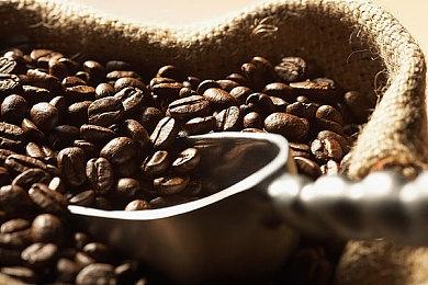 休闲冒险RPG《多元生活》1月23日登陆iOS＆安卓平台